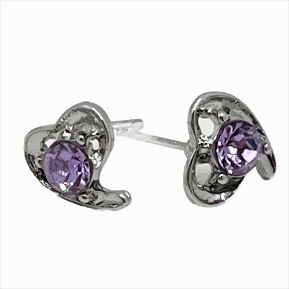 Earring Fashion Jewelry Heart Earrings in Silver and Purple - Picture 1 of 7